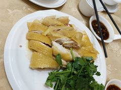 -瑞记湛江鸡饭店·粤西第一鸡(粤垦店)