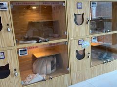 -小猫来了猫舍(福田店)