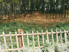 -乌镇东栅景区