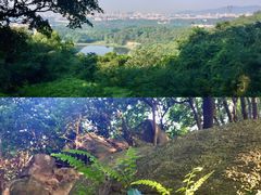 -火炉山森林公园