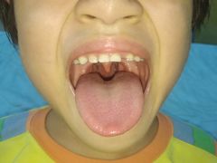 -香港3861国际母婴生活馆深业城店