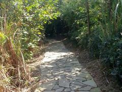 android_upload_pic-梁鸿国家湿地公园