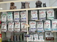 -瑞派·关忠动物医院·猫专科·犬专科(三环新城店)