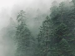 -海螺沟风景区