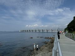 -星海湾跨海大桥