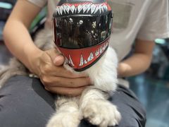 -FAELING PETS美天灵宠物(合生汇店)