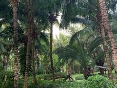 -三亚湾海居铂尔曼度假酒店