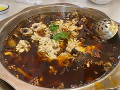 -重庆何乌鱼(南湖逸家店)