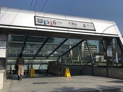 -大龙山(地铁站)