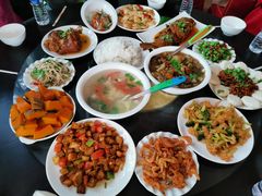 -东方巨龟苑景区