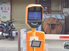 -石头咕(葵蓬店)