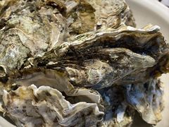 -庞家烧烤客栈(炮台山店)