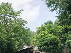 -龙井村