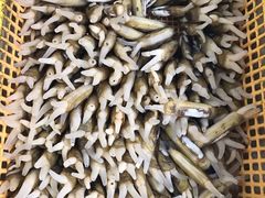 -霞涌市场海鲜摆卖区