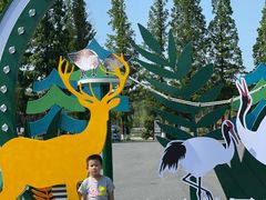 -黄海国家森林公园