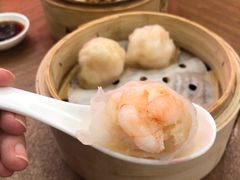 -富豪酒家(正大广场店)