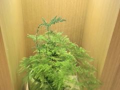 -速8酒店(北京角门东地铁站店)