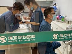 -瑞派紫金宠物医院24小时·骨科·中兽医·重症转诊中心(番禺大石院)