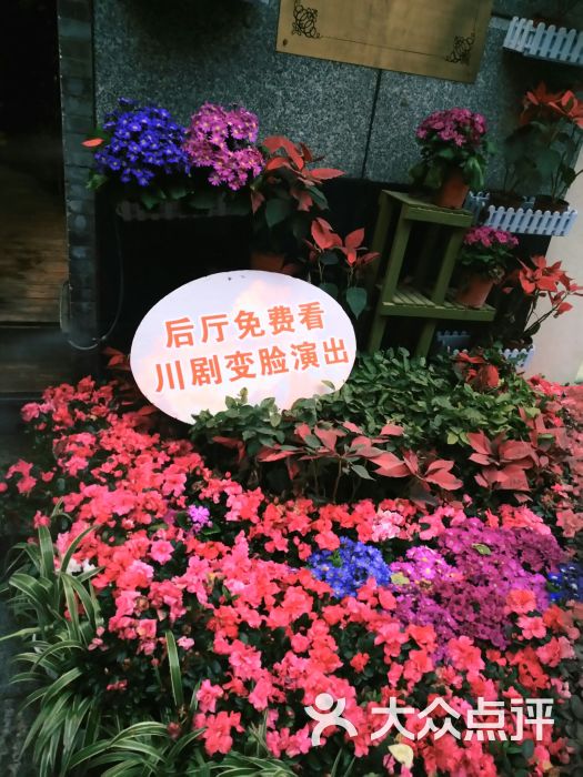 图片-成都生活服务-大众点评网