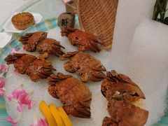 -龙悦湾酒家·八阵鱼生·渔人码头店