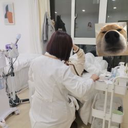 -凡碧诗毛孔清洁收细