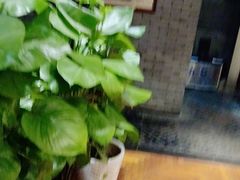 -功德林(南京西路店)