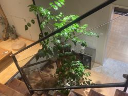-香秀空间科技抗衰·美容中心