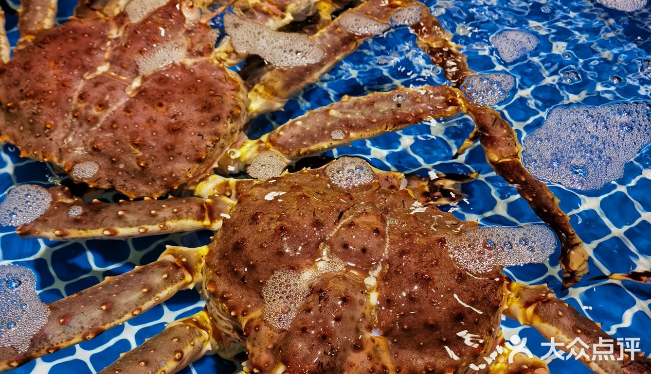 繁华宝总同款仙鹤神针！就在必吃榜的这家肥福排档！春节不打烊