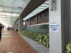 -香港大学
