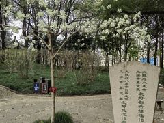-汇龙潭