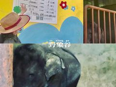 -野象谷景区