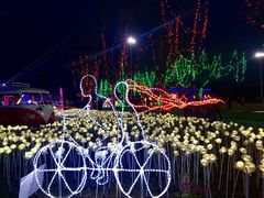 -天王浮山樱花园