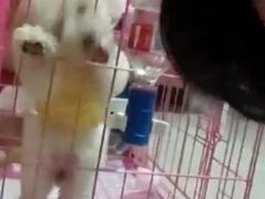 -联合动物医院(光谷诊疗中心)