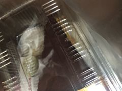 -苹果花园(昌里东路店)