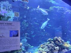 -欢乐海岸海洋奇梦馆