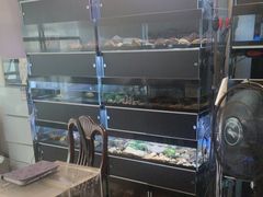 -灵龟之家百象馆(百象馆联合旗舰店)