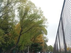 路标-瑞幸咖啡(北工大理科楼店)