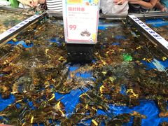 -盒马鲜生(莱蒙都会店)