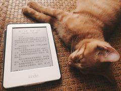 -芭比堂动物医院·犬猫全科·异宠专科(雁塔分院)