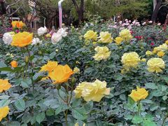 -人民公园(罗湖区)