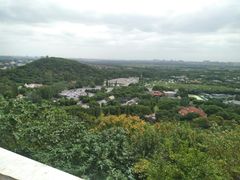 -上海佘山国家森林公园西佘山园