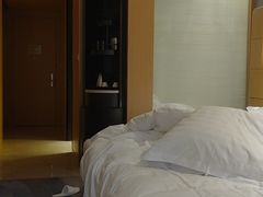 -苏州金鸡湖文博诺富特酒店