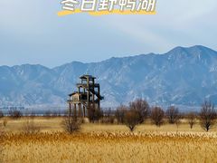 -野鸭湖国家湿地公园