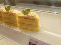 -蒲公英(五里店)