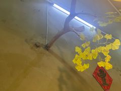 -米庄·原味私房菜(骏壹万邦店)