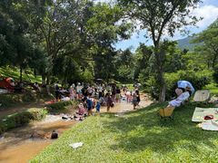 -东莞市大岭山森林公园