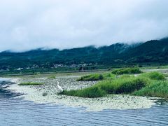 -腾冲北海湿地