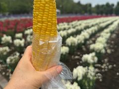 -富田农场