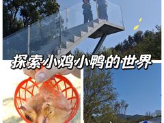 -黄陂区野村谷景区