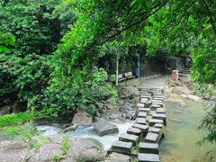 -广州白江湖森林公园